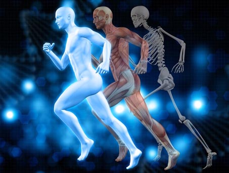 Spor Cerrahisi