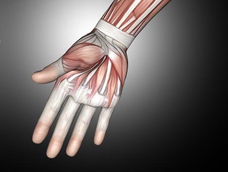 Forearm Lacerations